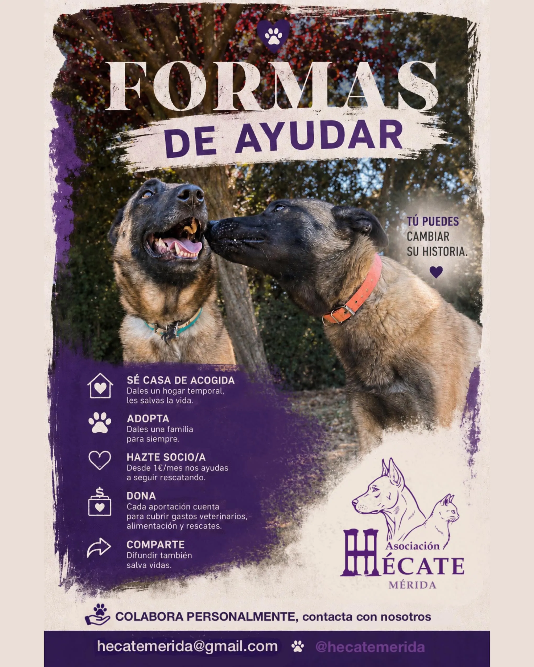 Publicación de la asociación explicando las formas de ayudar