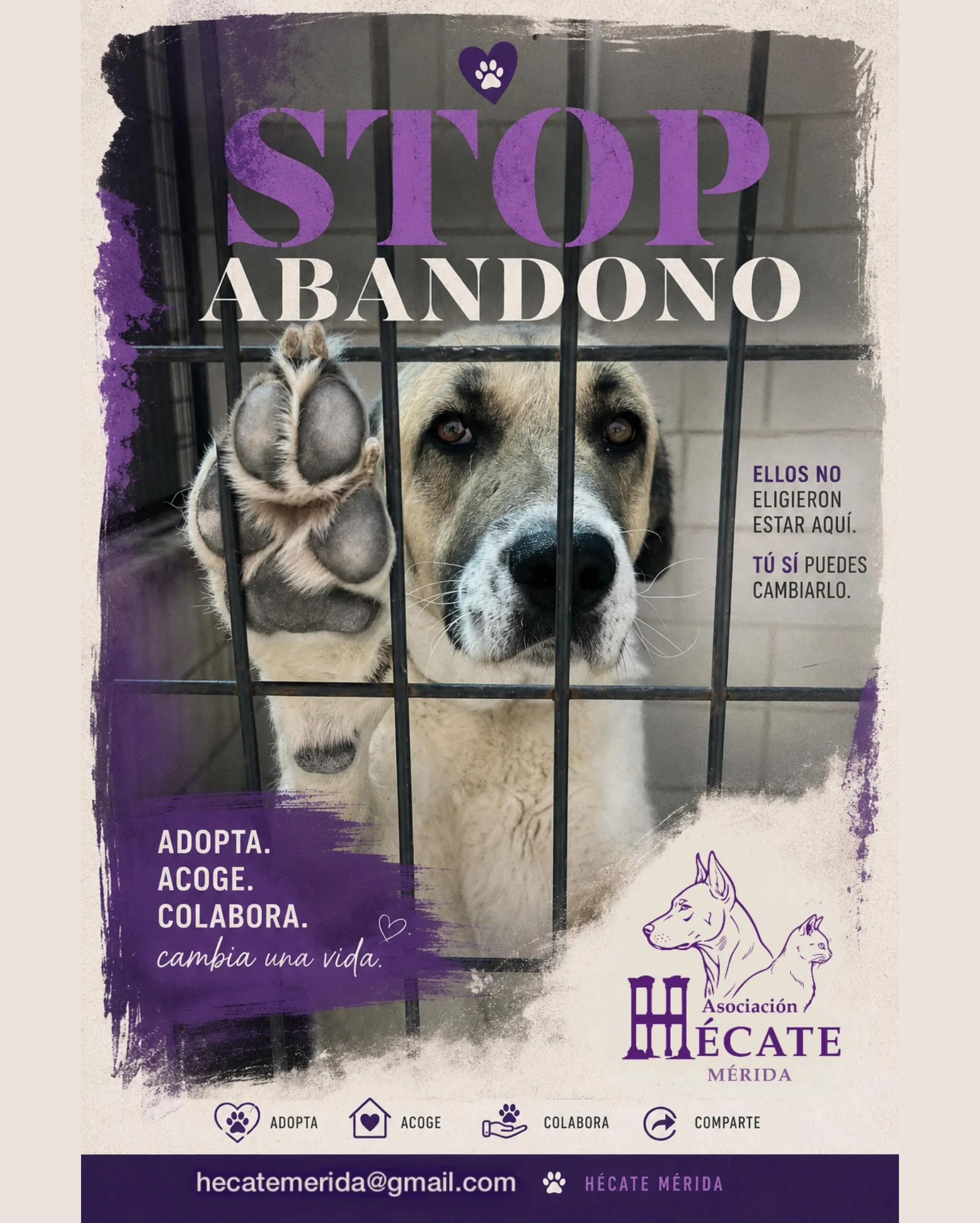 Primera publicación de la Asociación Hécate Mérida