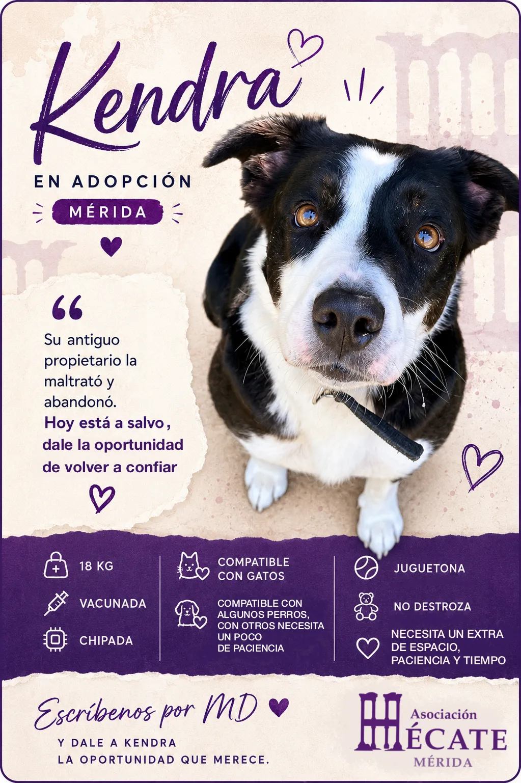Kendra, perra en Mérida