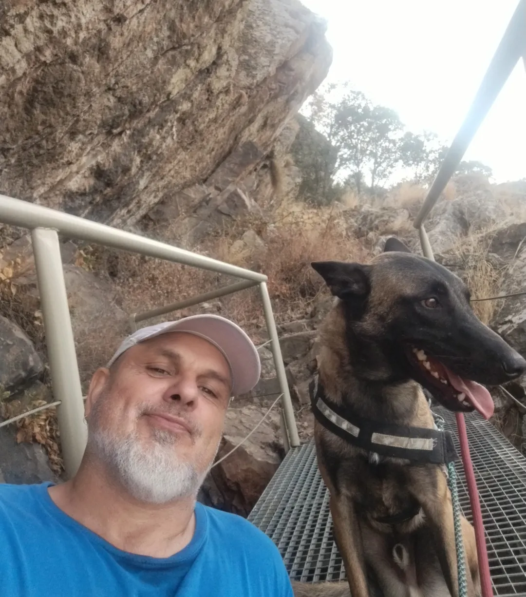 Obi, perro en Mérida