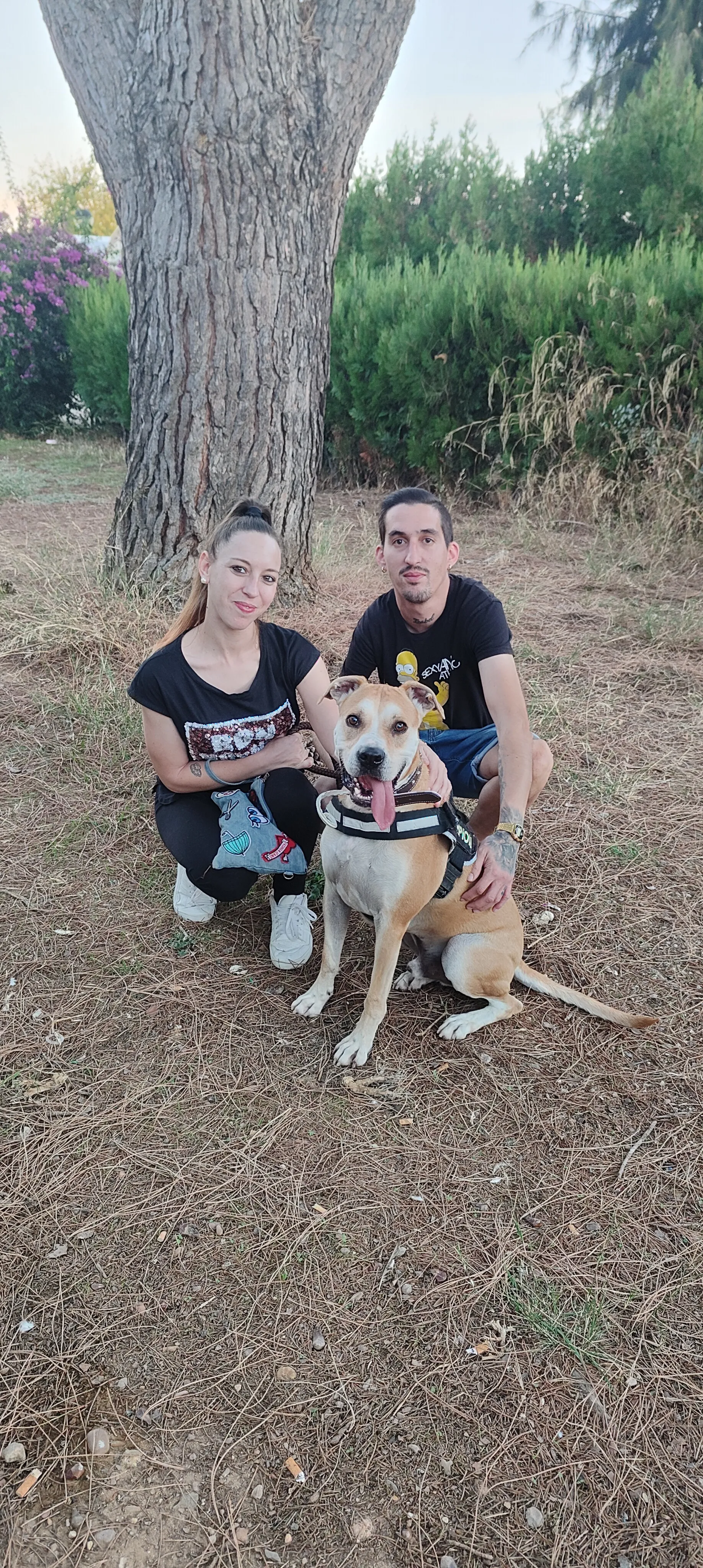 Son, adoptado, en su casa